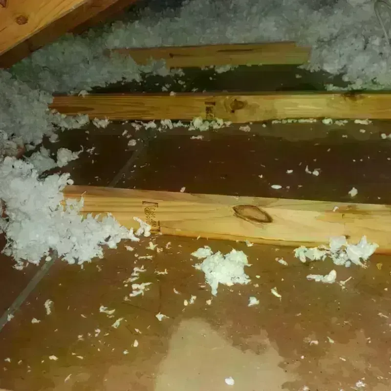 Attic Water Damage in Ripon, WI